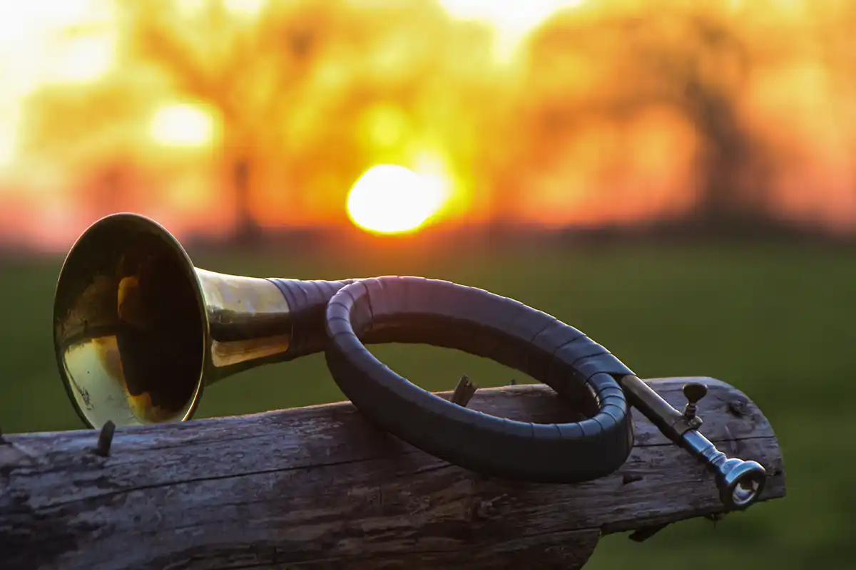 Luftaufnahme von Dörnick